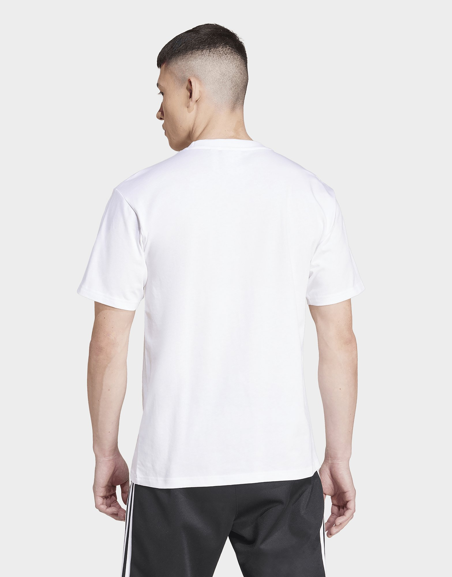 adidas T-shirt Trèfle flambeau