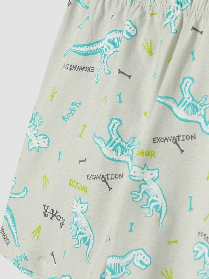 Conjunto de pijama estampado - Cinza claro