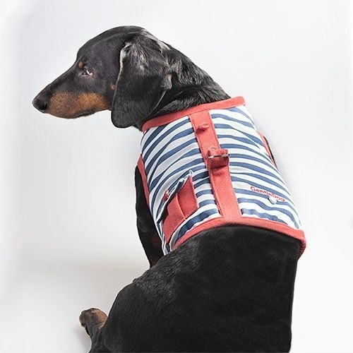 Coleira peitoral Arlington Designer para cães, vermelha