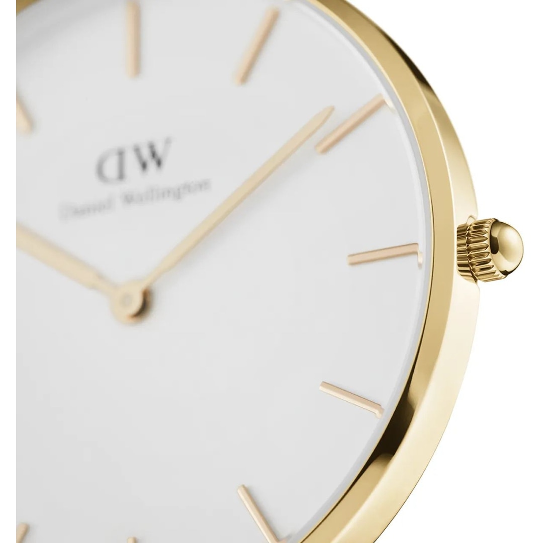 Daniel Wellington Petite Evergold White 36mm