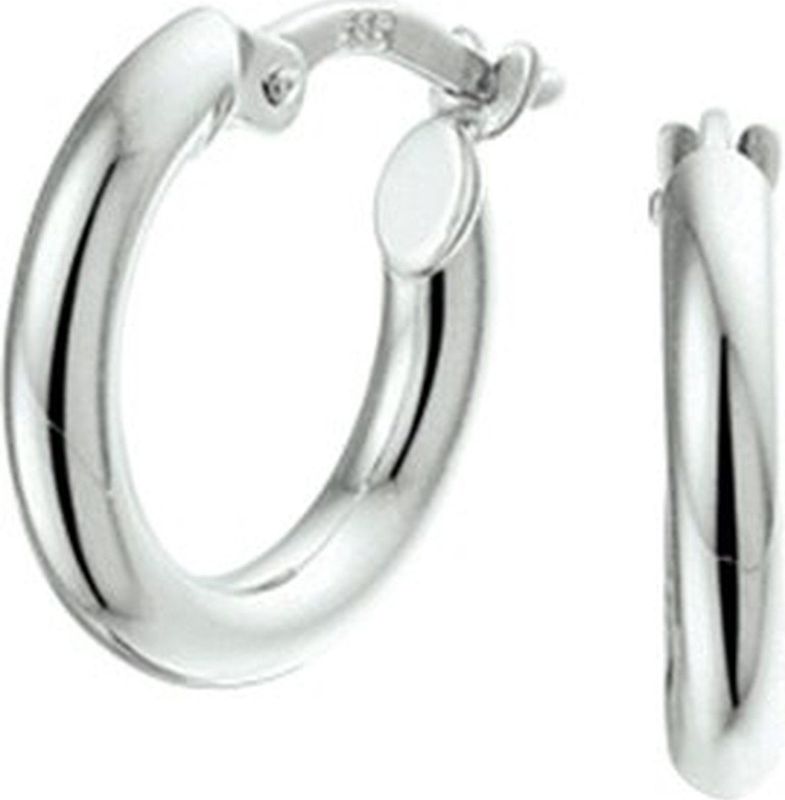 TFT - Oorringen Ronde Buis - Witgoud Glanzend - 2,5 mm x 15 mm