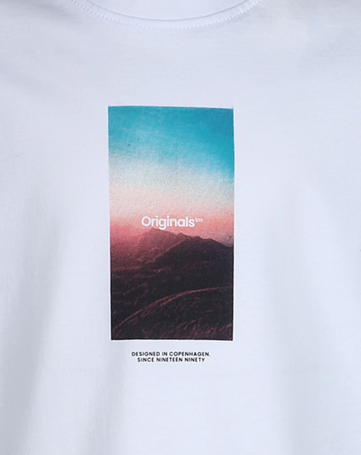 T-Shirt JORVESTERBRO PICTURE in bright white