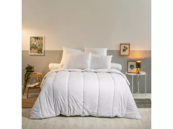 Oreiller moelleux Anti-punaises de lit 60x60cm