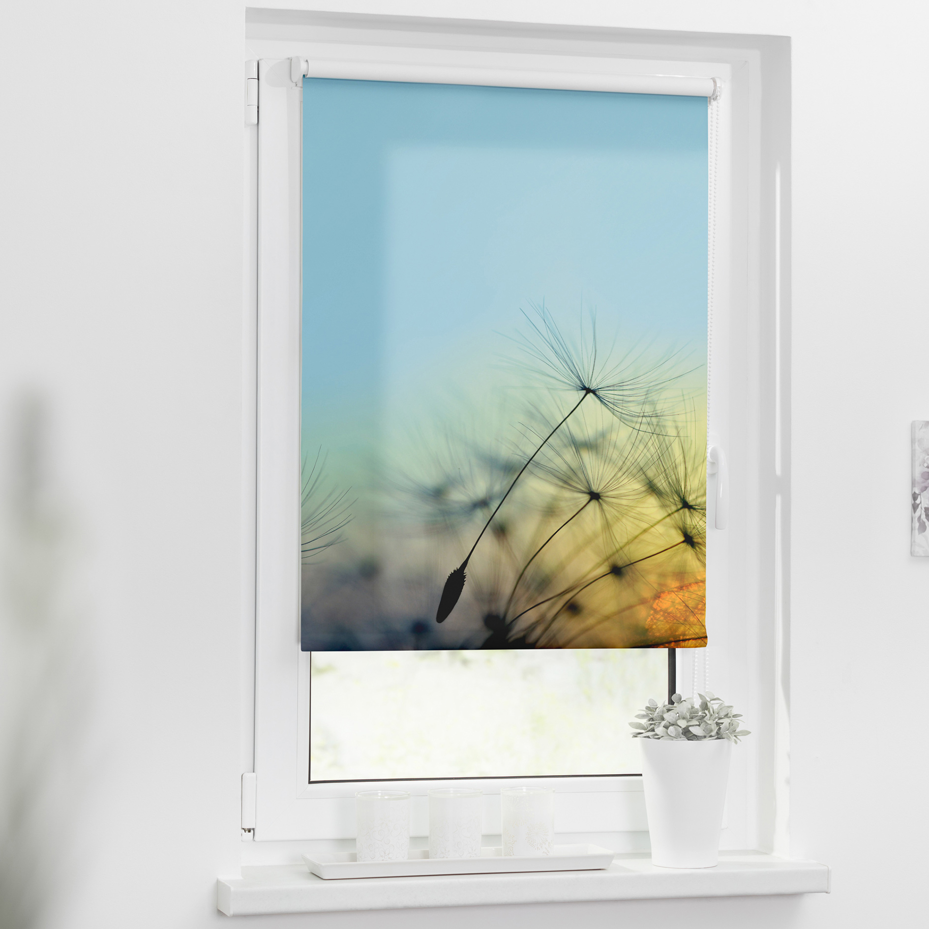 LICHTBLICK Verdunklungsrollo PUSTEBLUME - blau - 45x150 cm