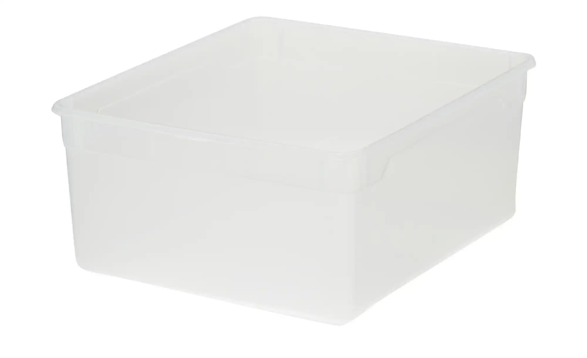 Rotho Aufbewahrungsbox, 2er Set