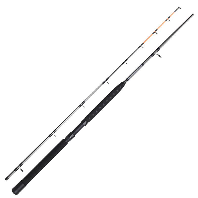 Canne Traine Dam Salmonizer Trolling