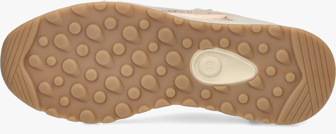 PIEDI NUDI beige piedi nudi lage sneakers selva 17.22