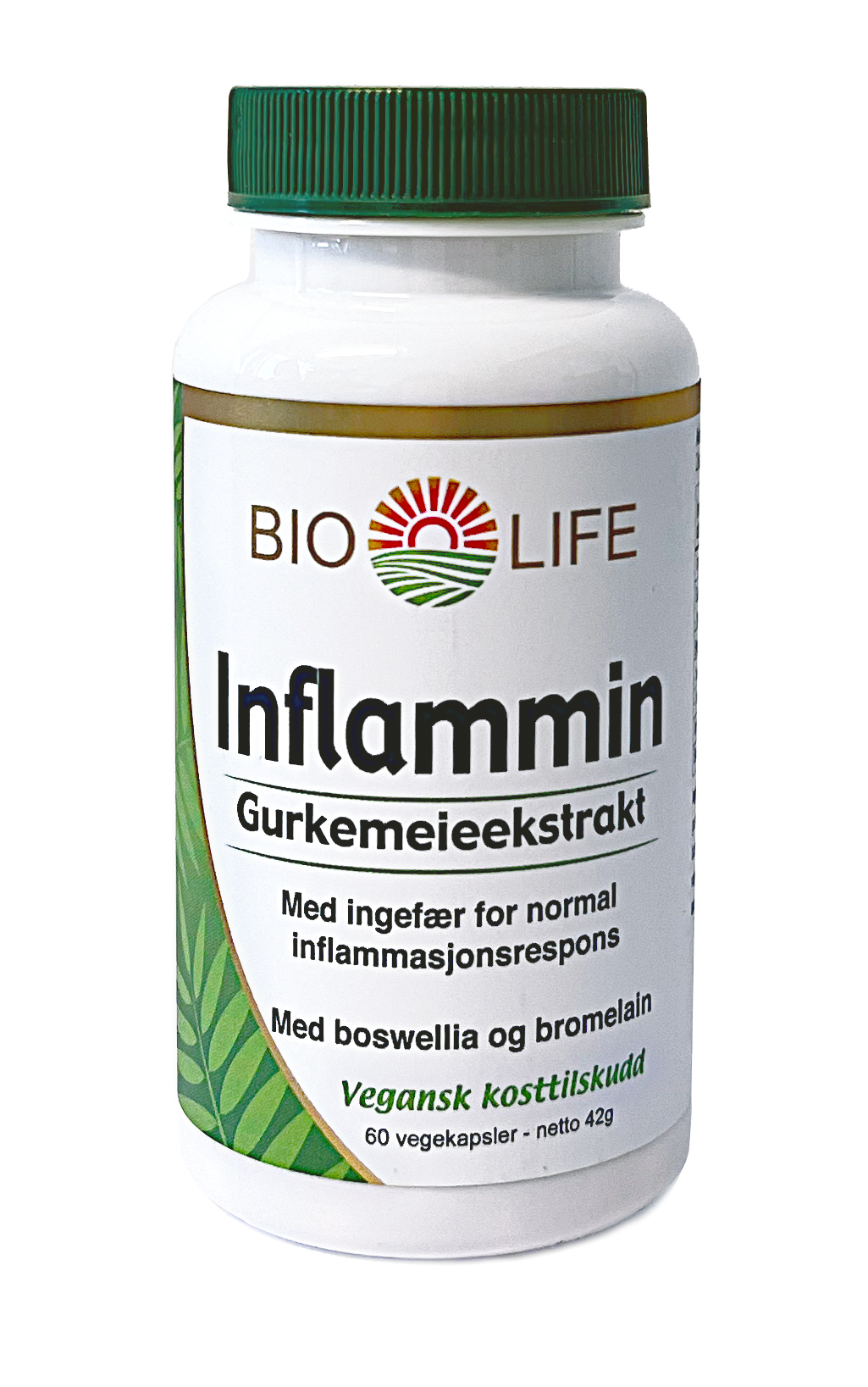 Bio Life Inflammin