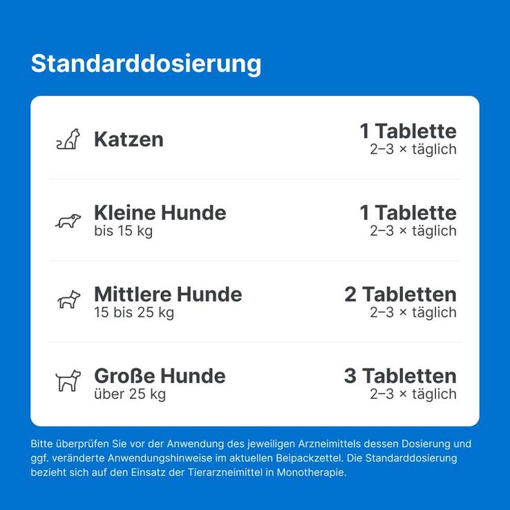 Traumeel T ad us. vet. Tabletten für Hund und Katze, 250 St