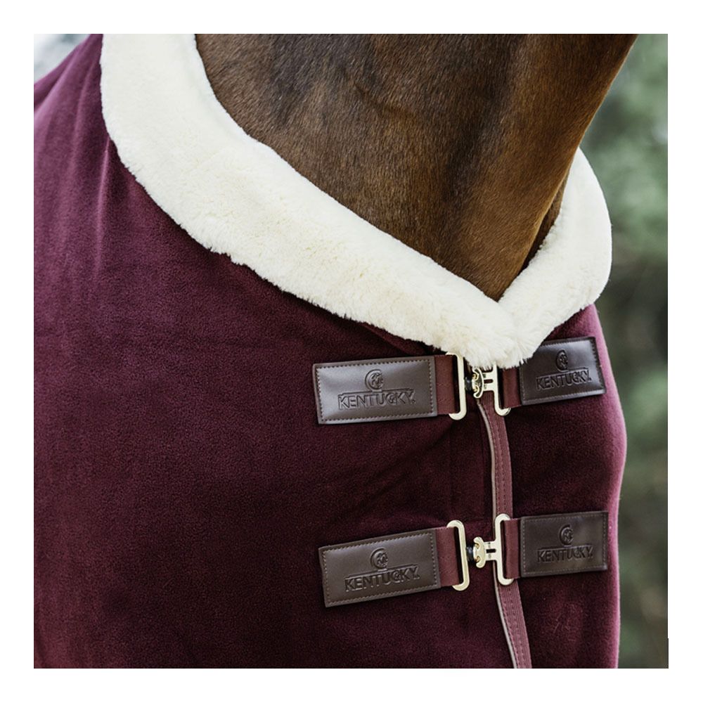 Kentucky SHOW HEAVY - Chemise séchante bordeaux