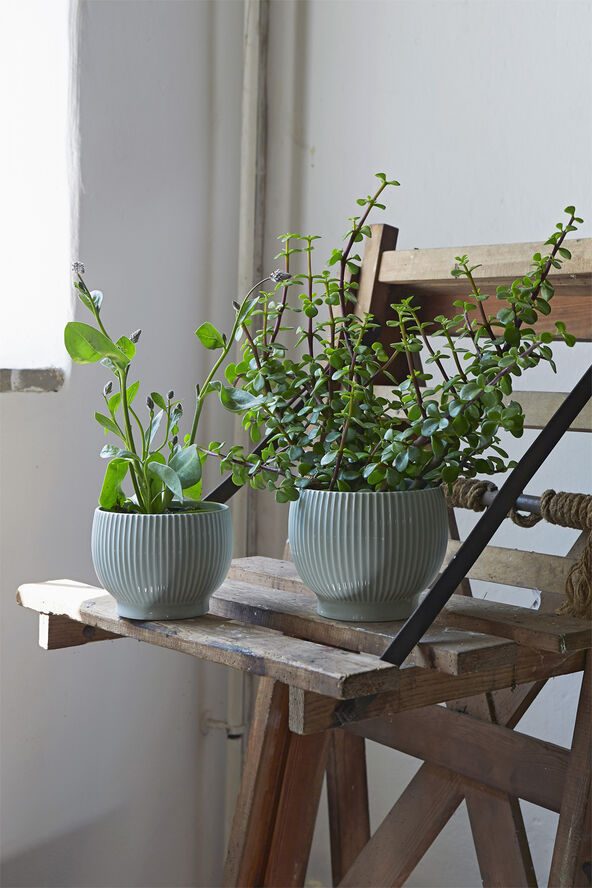 Knabstrup Keramik Knabstrup urtepotteskjuler, riller mintgrøn, Ø 14,5 cm Ripple mint