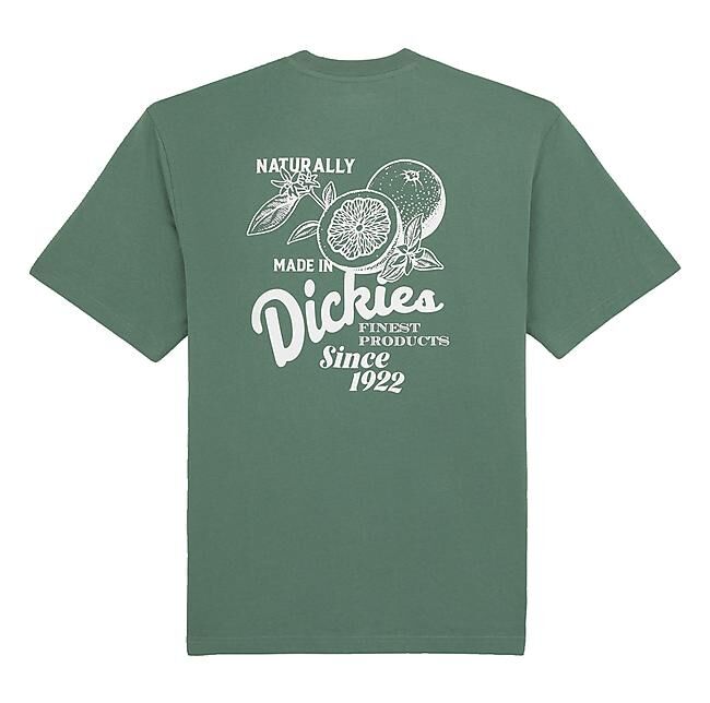 DICKIES - T-SHIRT MC RAVEN TEE