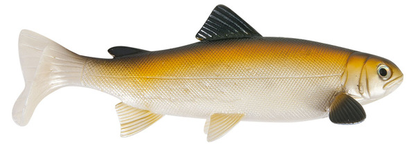 Uni Cat Trout Softbait 20cm