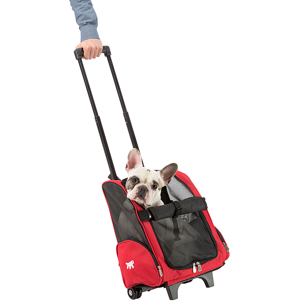 Panier de transport petits chiens chats trolley à roulettes, sac à dos pour petits chiens chats, poignée télescopique, poches pour
