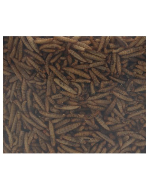Allbirds&Co Black Soldier Fly In Emmer - Tuinvogelvoer - 650 g