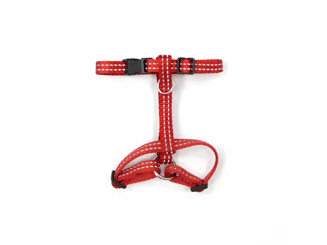 Harnais pour Chien 