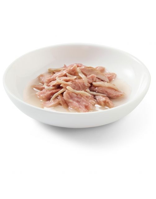 Schesir Kat Blik Gelei 140 g - Kattenvoer