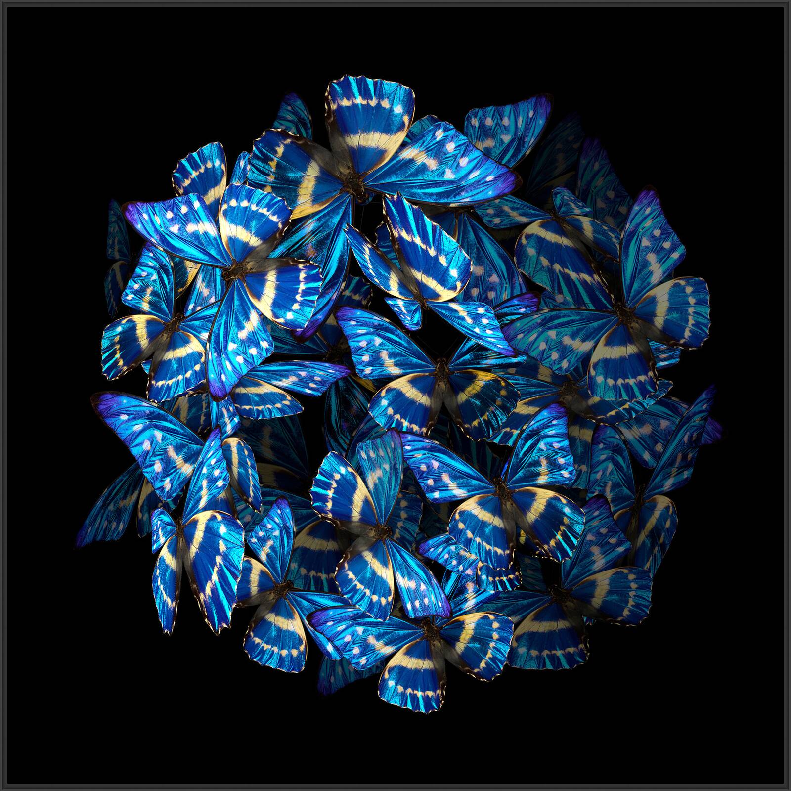 Blue Rhapsody by Heiko Hellwig - Limited Edition. Edition of: 150. Signed.