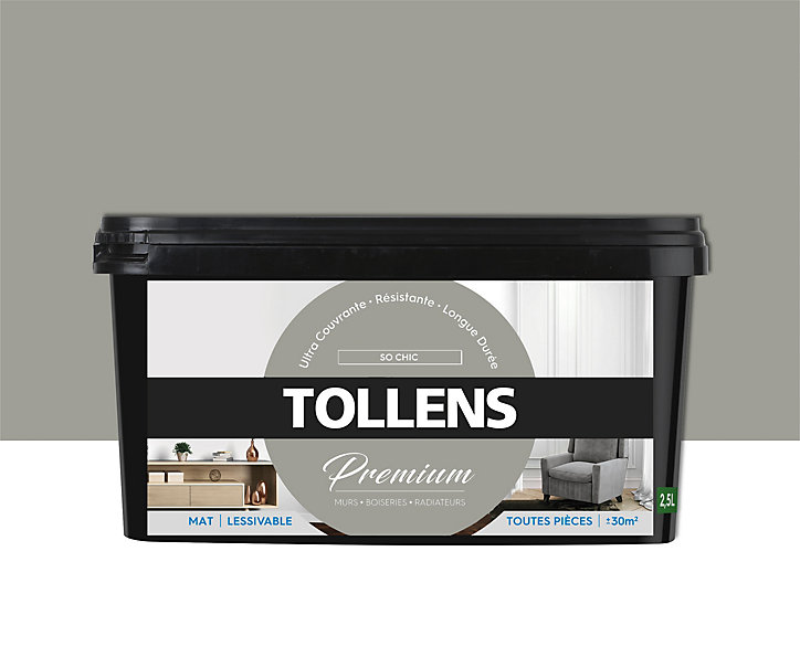 Peinture Tollens premium murs, boiseries et radiateurs so chic mat 2,5L