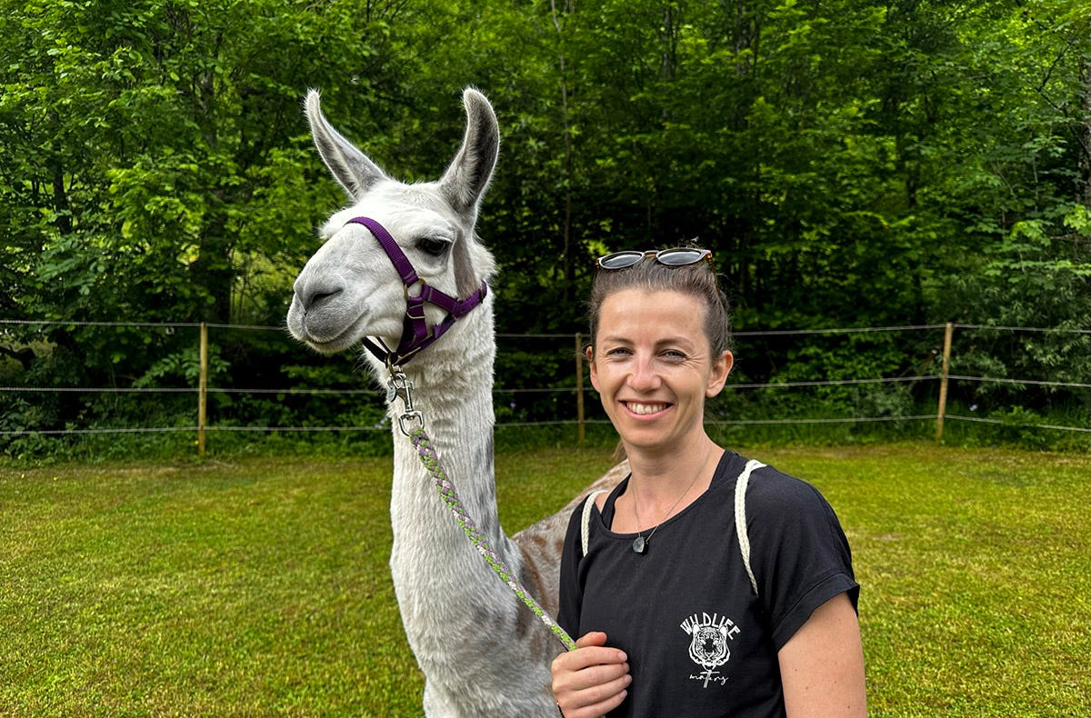 Lama Wanderung mit Yoga & Brunch
