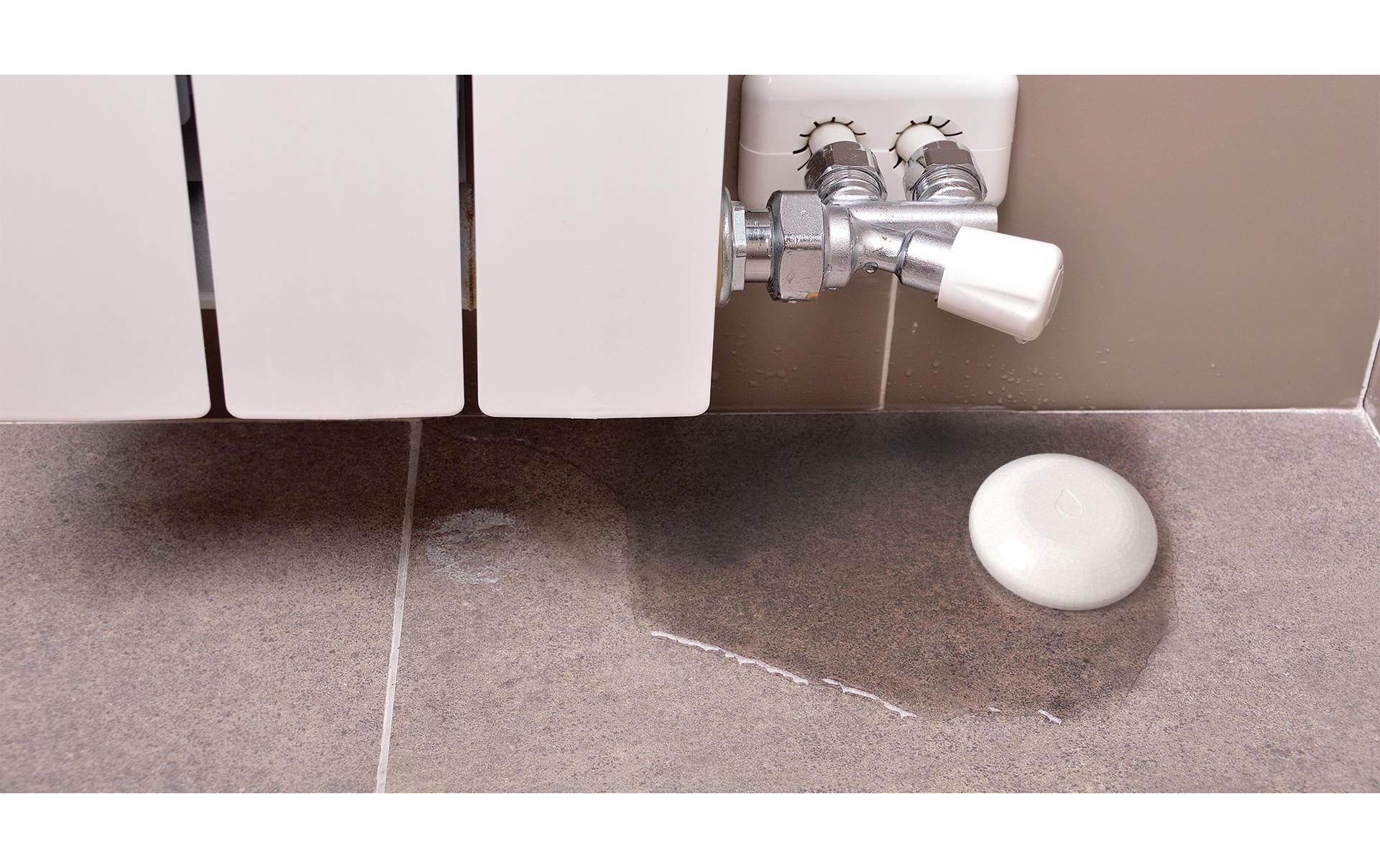 Flood WiFi-Flood & Temperatur SensorWLAN Wassersensor, Temperatursensor