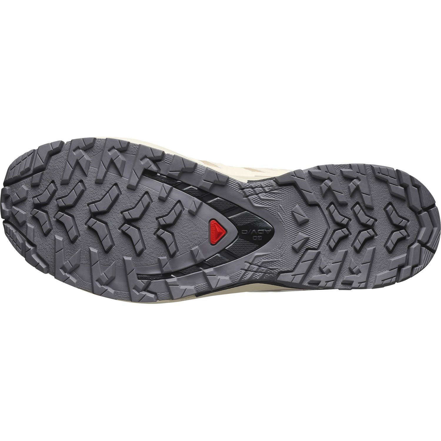SalomonXA PRO 3D V9 GTX W