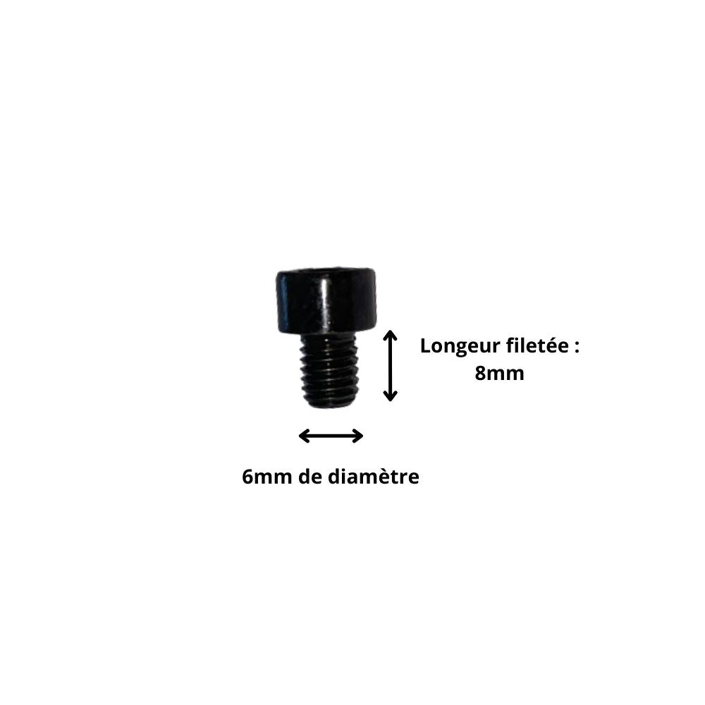 Vis M6x8 à Tête Cylindrique et Empreinte Allen (Pack de 10)