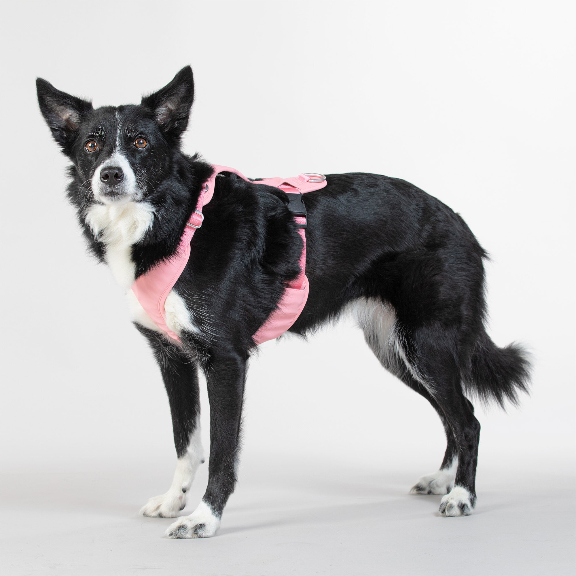 PAIKKA Visibility Harness