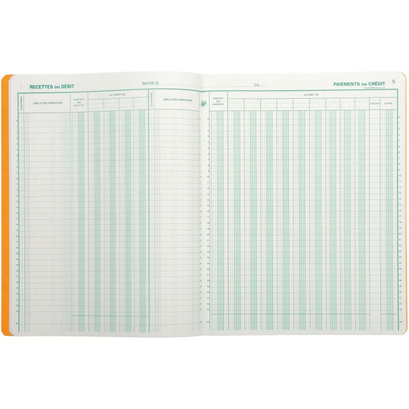 Registre comptable caisse banque Exacompta 6510E, 25 x 32 cm 80 pages