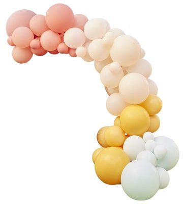 GingerRay Ballongbue, Flerfarget