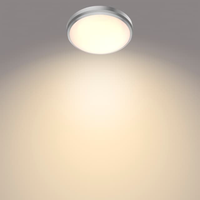 Philips Doris loftslampe 6W