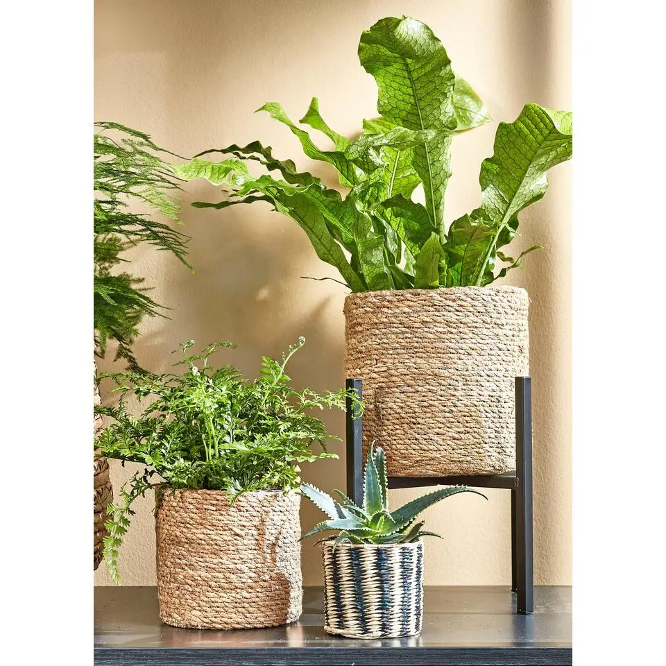 Mica Decorations Atlantic Mand voor Planten Set van 2