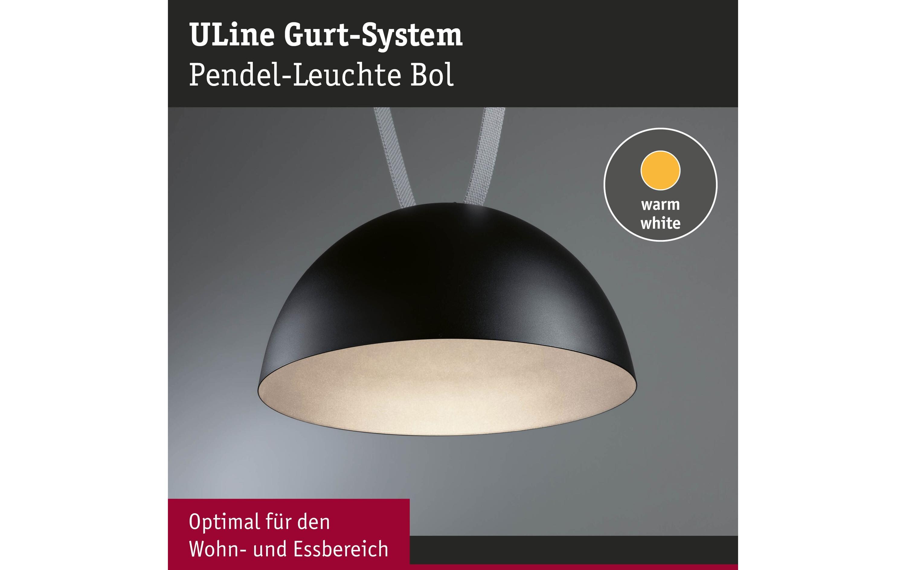ULine Pendel Bol 300 mm, 3000 K, 90 Ra, Aluminium, SchwarzGurt-System-Leuchte