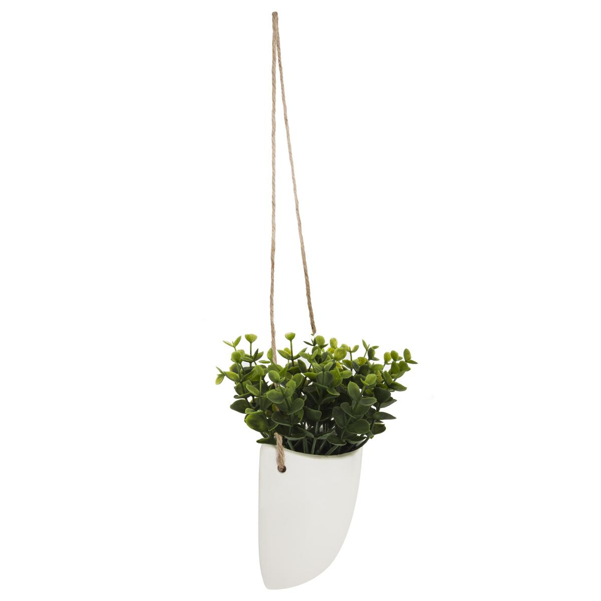 PLANTE MURALE A SUSPENDRE CERAMIQUE H.20CM