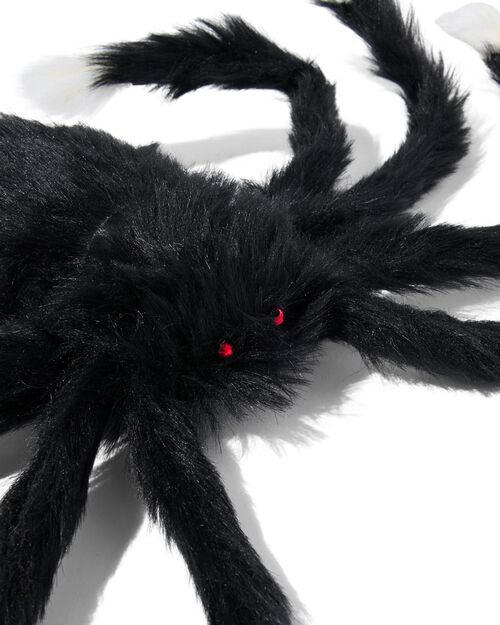 araignée 17x45 Halloween