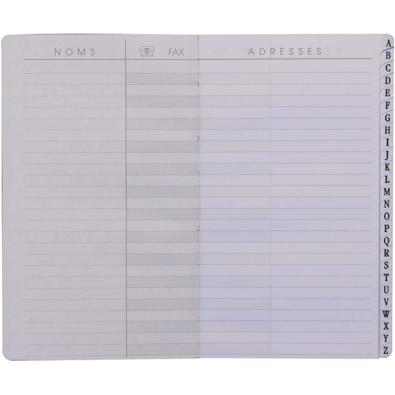 Agenda Moderne - Répertoire alphabétique - Iguana - 8,7x15,3 cm - tranche dorée - par 5