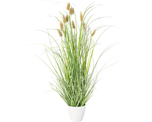 Kunstplant Lagurus in pot, hoogte: 60 cm, groen