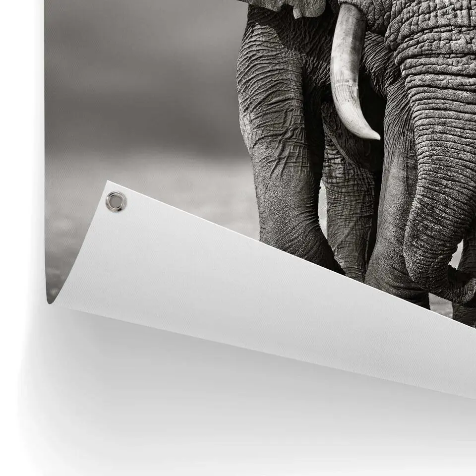 Tuinposter Wandelende olifant - 80x60cm - Zwart