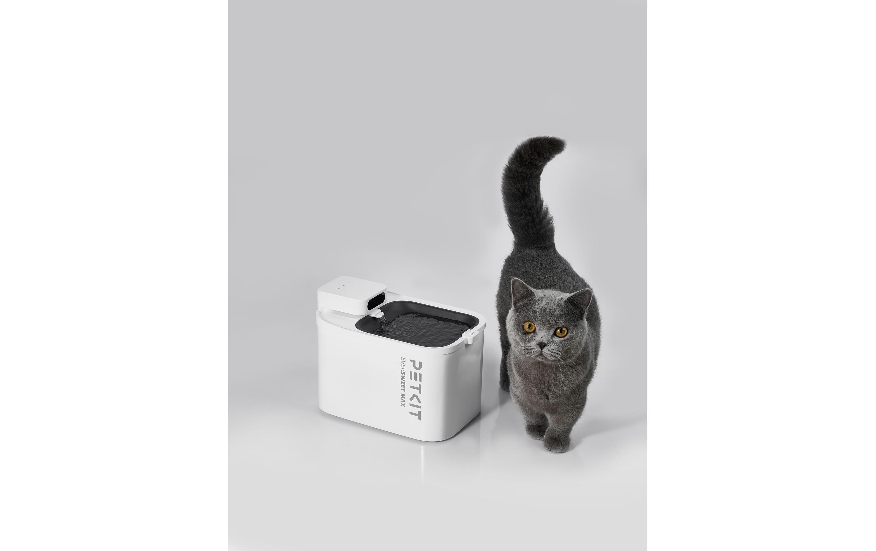 Eversweet Max Trinkbrunnen Wireless Weiss, 3 lTrinkbrunnen für Haustiere