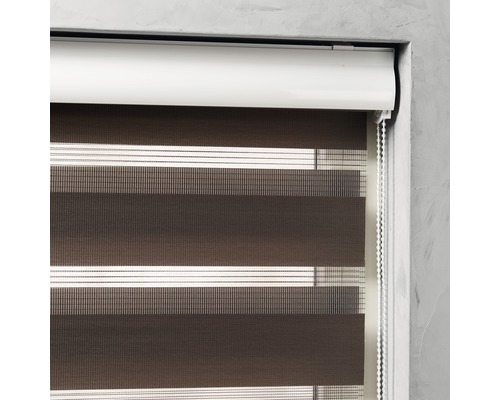 Soluna dubbel rolgordijn D-R12 Noah met cassette, bruin, 60x175 cm