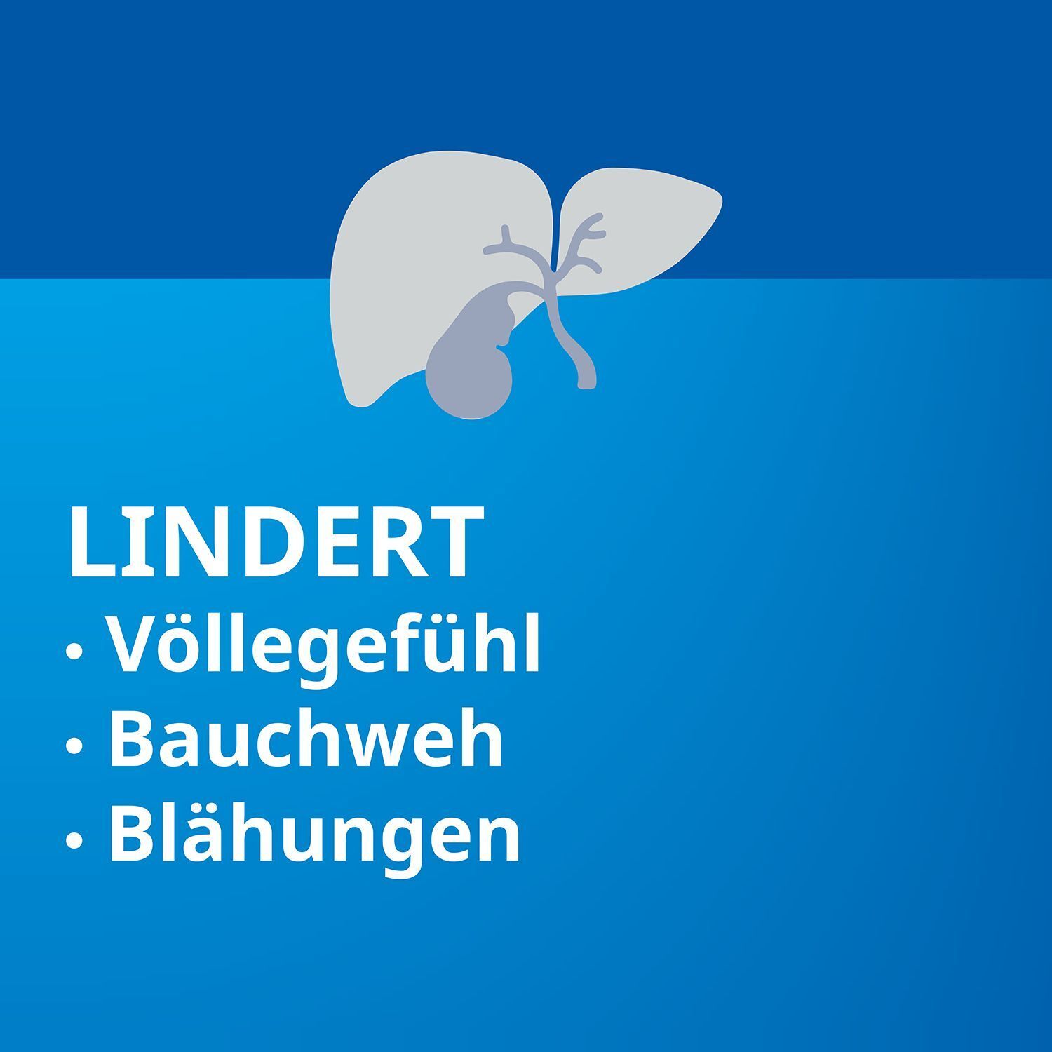 Heparstad® Artischocken Kapseln