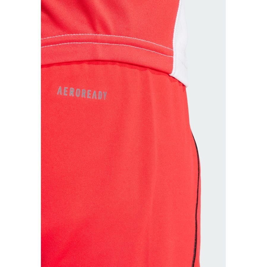 Adidas Tiro 25 Pro Training Shorts