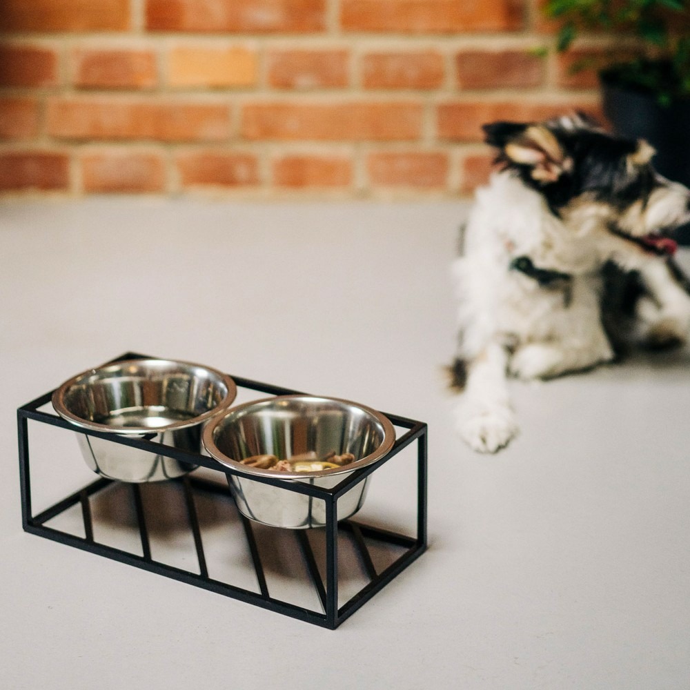 Olne - set de 2 gamelles surélevées pour chien en acier, socle design métal noir