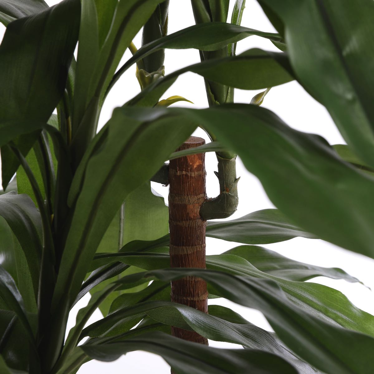 Mica decorations - dracaena artificielle en pot h100