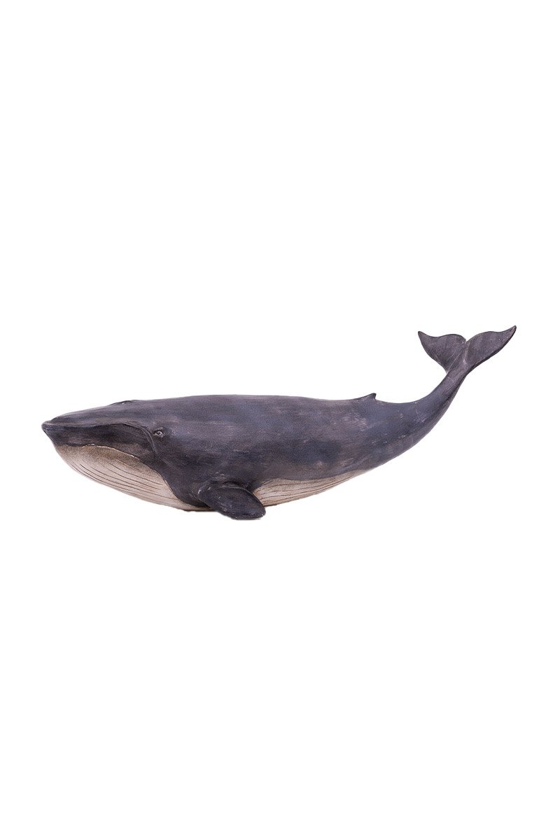 Baleine 80x27 cm