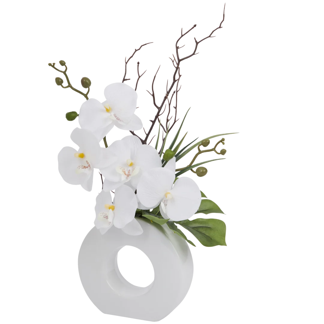 Orchidee in vaas Diverse varianten