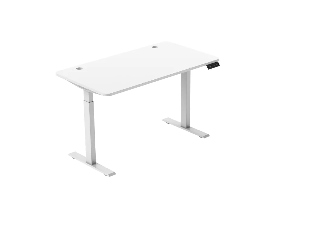 Bureau debout réglable en hauteur pour bureau à domicile, deux moteurs, bureau d'ordinateur debout électrique 58x180cm avec 4 préférences de mémoire