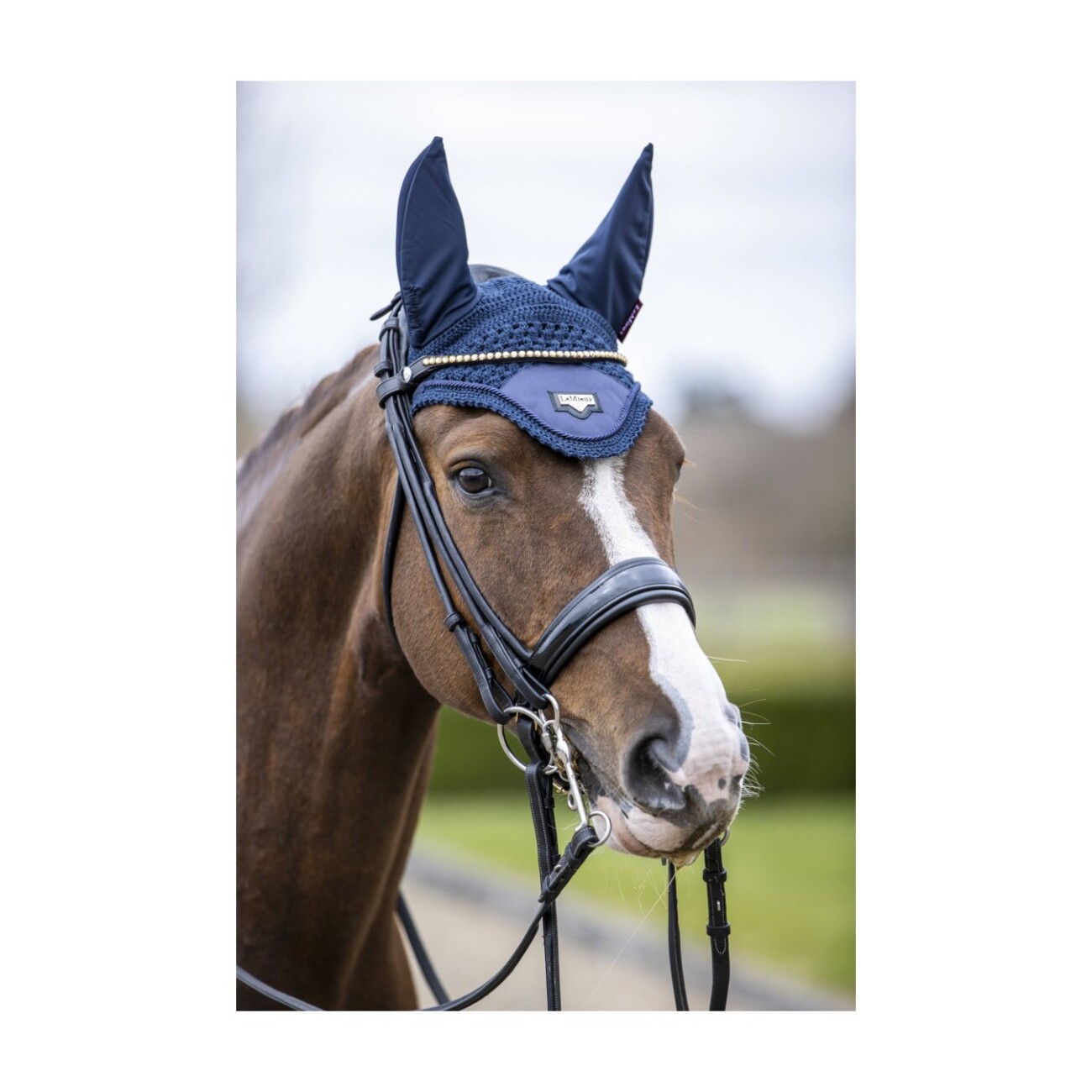 LeMieux Fliegenhaube Loire navy WB (Warmblut)