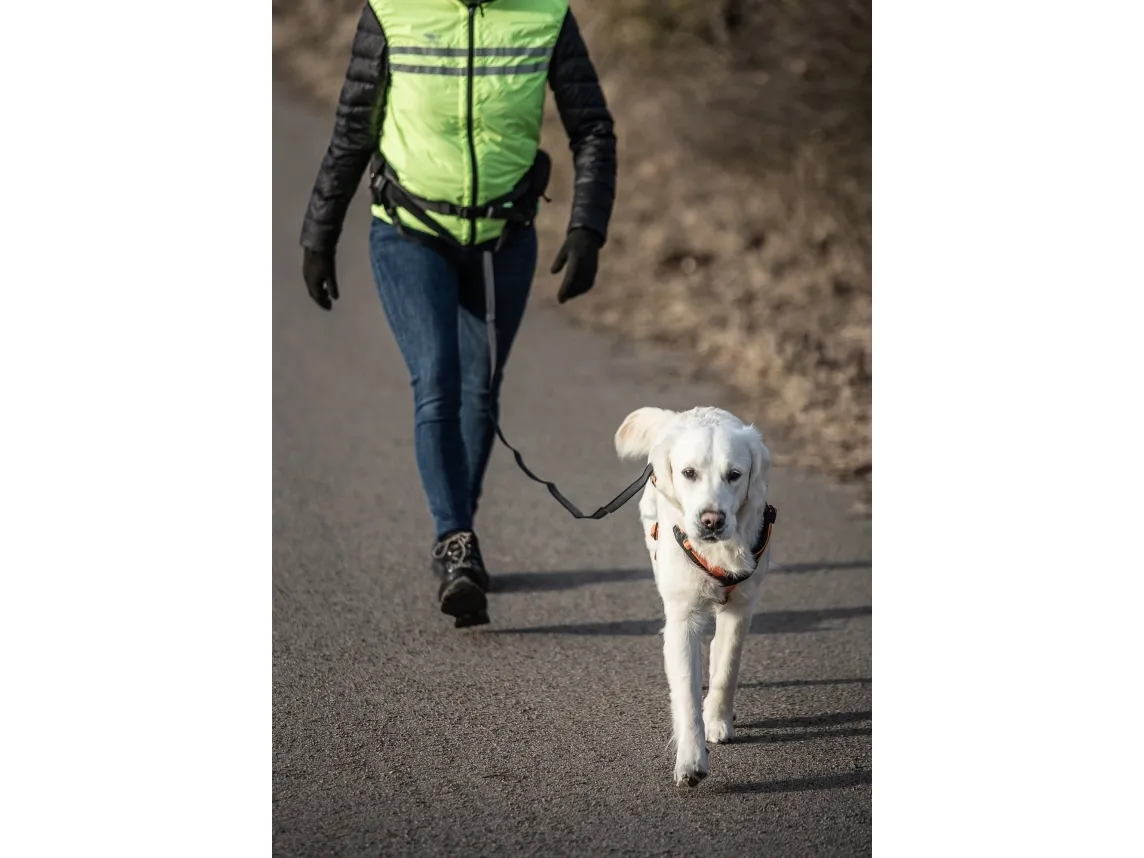 DOGMAN Bælte Emmi sort 75-118cm