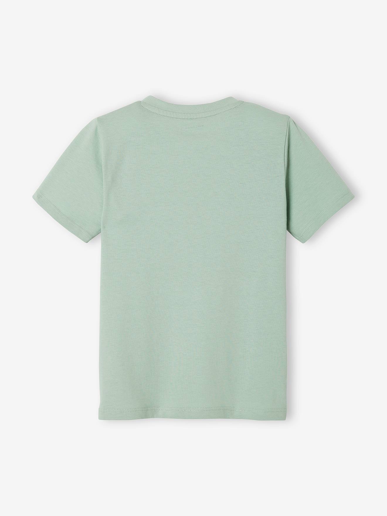 Camiseta de manga curta com mensagem para meninos, lisa, azul claro com estampas.